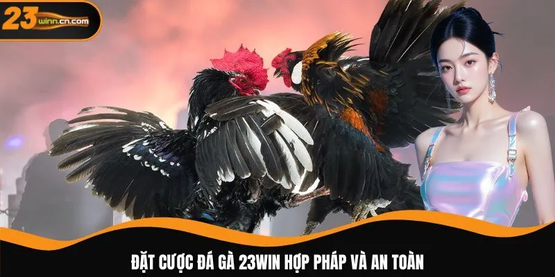 Đặt cược đá gà 23WIN hợp pháp và an toàn