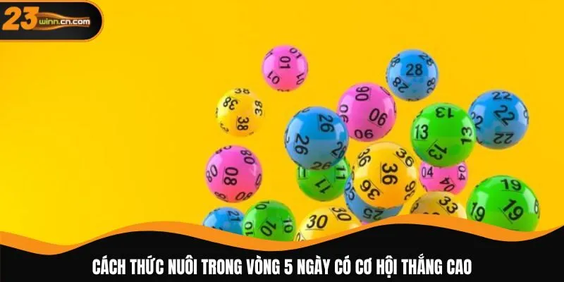 Cách thức nuôi trong vòng 5 ngày có cơ hội thắng cao