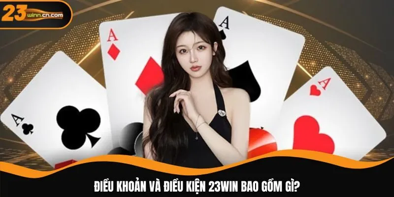 Điều khoản và điều kiện 23WIN bao gồm gì?