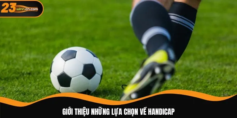 Giới thiệu những lựa chọn về Handicap