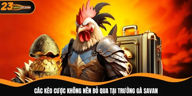 Các kèo cược không nên bỏ qua tại trường gà Savan