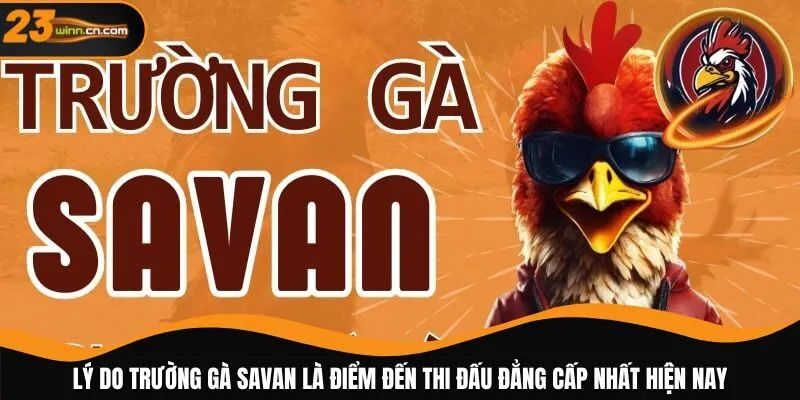 Lý do trường gà Savan là điểm đến thi đấu đẳng cấp nhất hiện nay