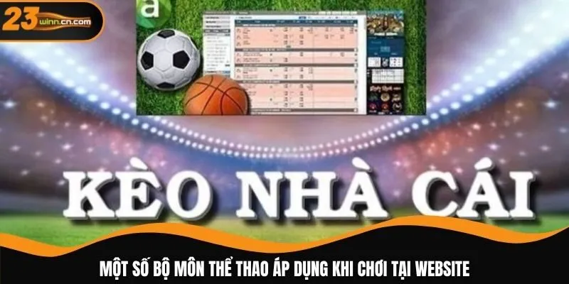 Một số bộ môn thể thao áp dụng khi chơi tại website