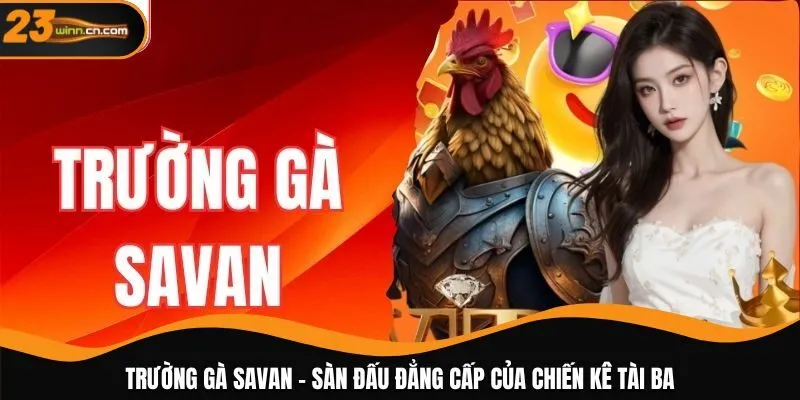 Trường gà Savan